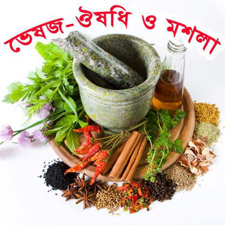 Picture for category Herb & Spices / ভেষজ-ঔষধি ও মশলা