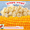 Picture of CNP900. Mushroom Popcorn / মাশরুম পপকর্ণ