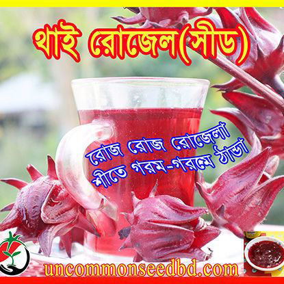 Picture of HBR415. Thai Roselle (Seed) / থাই রোজেল(সীড)